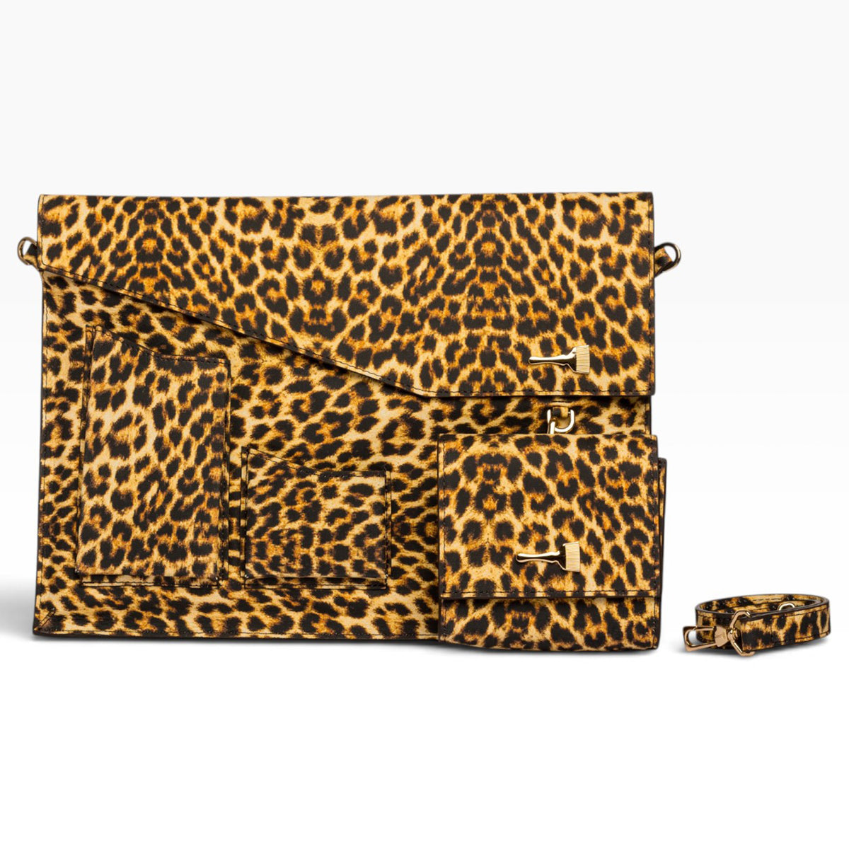 The Portfolio Cheetah